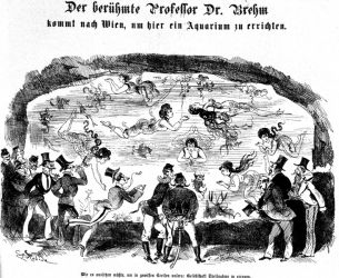 Der Floh, 20. 4. 1873 (http://anno.onb.ac.at)
